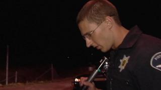 Cops Reloaded