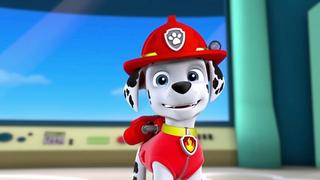 PAW Patrol