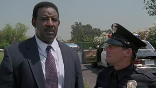 A Bird in the Hand...