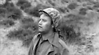 Walking Wounded Walking Wounded