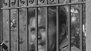 Battle of the Roses Battle of the Roses