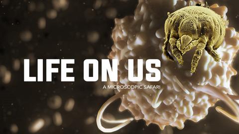 Life on Us: A Microscopic Safari