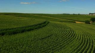 Nebraska Nebraska