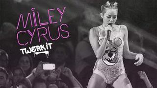 Miley Cyrus: Twerk It