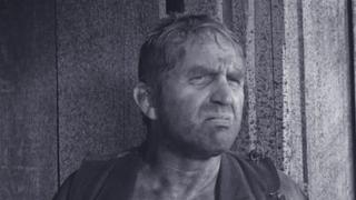 Kitty's Injury Kitty's Injury