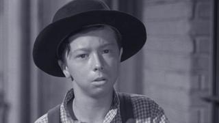 Night Incident Night Incident