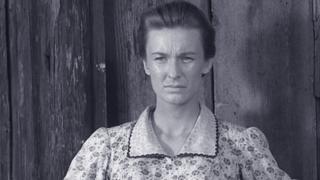 Legal Revenge Legal Revenge