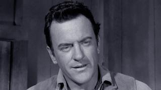 Stolen Horses Stolen Horses