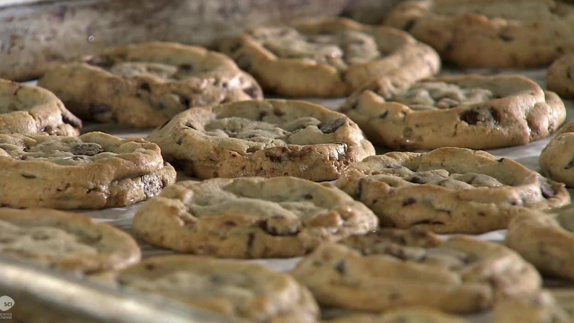Watch How It's Made: S23E2 - Rawhide Lampshades; Chocolate Chip Cookies ...