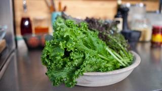 Mexican Brunch Mexican Brunch