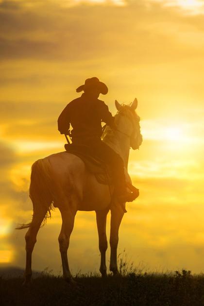 The Hawk of Wild River
