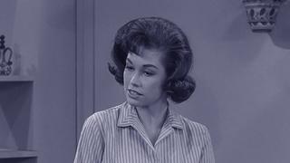 The Sick Boy and the Sitter The Sick Boy and the Sitter