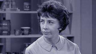 The Dick Van Dyke Show