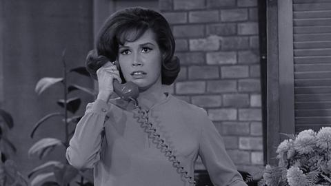 Scratch My Car and Die