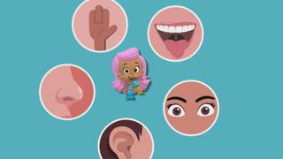 Come to Your Senses! Come to Your Senses!