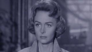 The Donna Reed Show