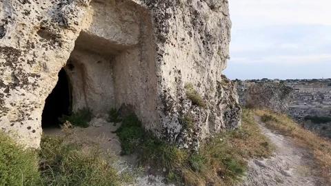 Egg Shaped; Laser; Jungle