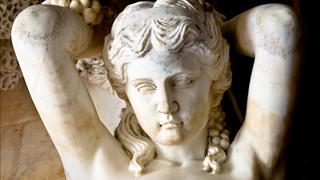 Faces of the Gods Faces of the Gods