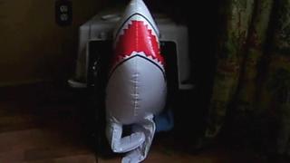 Hard Heads Hard Heads