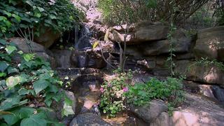 Ultimate Pools Ultimate Pools