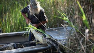 Swamp People