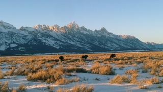 Jackson / Bryan Iguchi