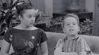 The Nelson Eddy Show