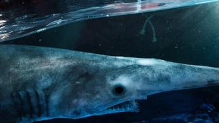 Alien Sharks: Return to the Abyss