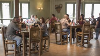 Logheads and Bear Chairs Go to California