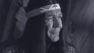 Here Comes the Tribe Here Comes the Tribe