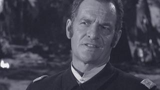 A Fort's Best Friend Is Not a Mother