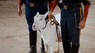 The Return of Wrongo Starr The Return of Wrongo Starr