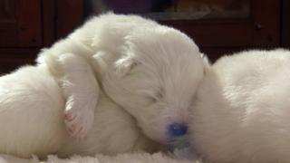 Too Cute!