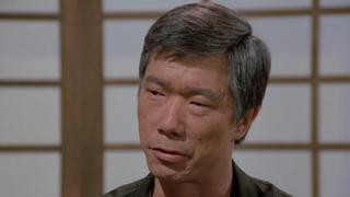 The Japanese Connection The Japanese Connection