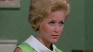 A Family Group A Family Group