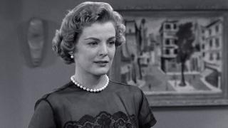 Danny's Proposal Danny's Proposal