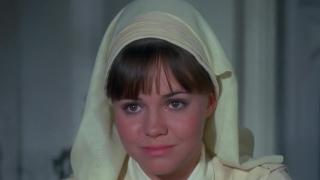 To Fly or Not to Fly To Fly or Not to Fly