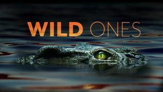 Wild Ones
