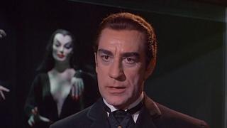 The Wax Max The Wax Max