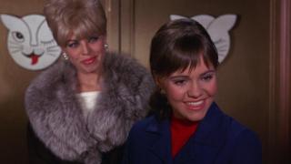 Independence: Gidget Style