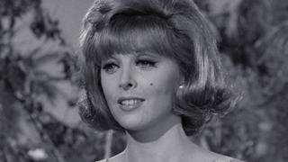 3 Million Dollars More or Less 3 Million Dollars More or Less