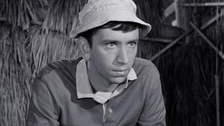 Plant You Now, Dig You Later