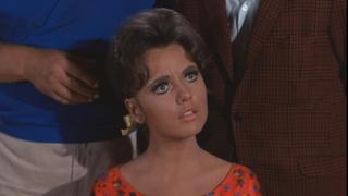 The Hunter The Hunter