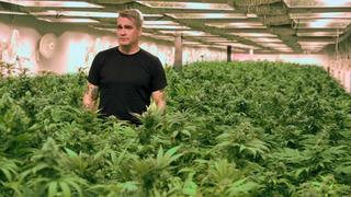 Marijuana Marijuana
