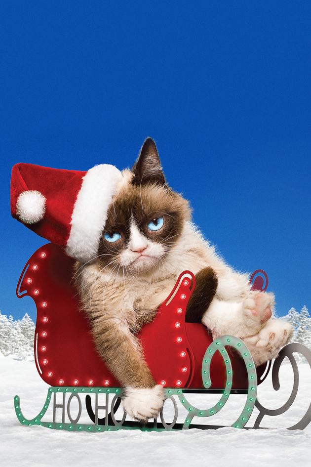 Grumpy Cat's Worst Christmas Ever