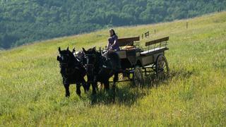 Heartland
