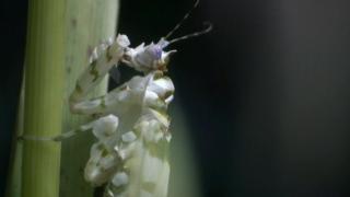 Making Worlds Making Worlds