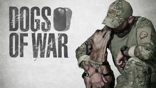 Dogs of War