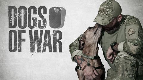 Dogs of War