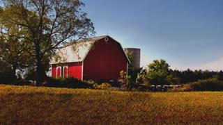 Butter Creek Bank Barn Gut Renovation